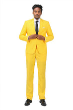 Load image into Gallery viewer, CB49AA232BF57D4EECAC89C1037BC950/24071965_19cd49b1-2c87-49c6-b491-bf119022bfd0.jpg