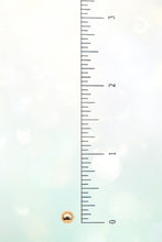 Load image into Gallery viewer, 1A578ECD78566D4B19E01F66CE74173F/dab28fff-93a0-4b0f-aaed-56656f8de907.jpg