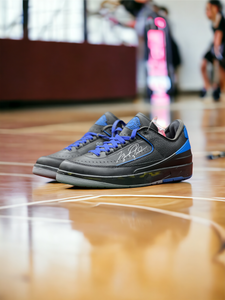 Jordan 2 retro low