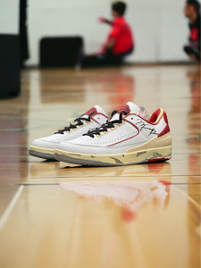 Jordan 2 retro low